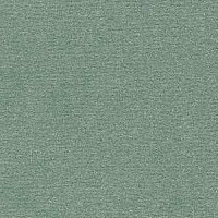 Ковролин Radici Nexus Onice 2427 фото 1 | FLOORDEALER